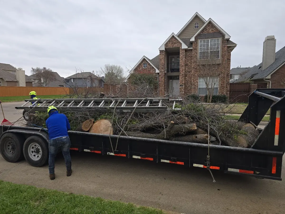 Expert Tree Pest Control with proper safety equipment in Upson